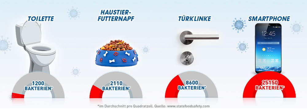 Bakterien im Alltag