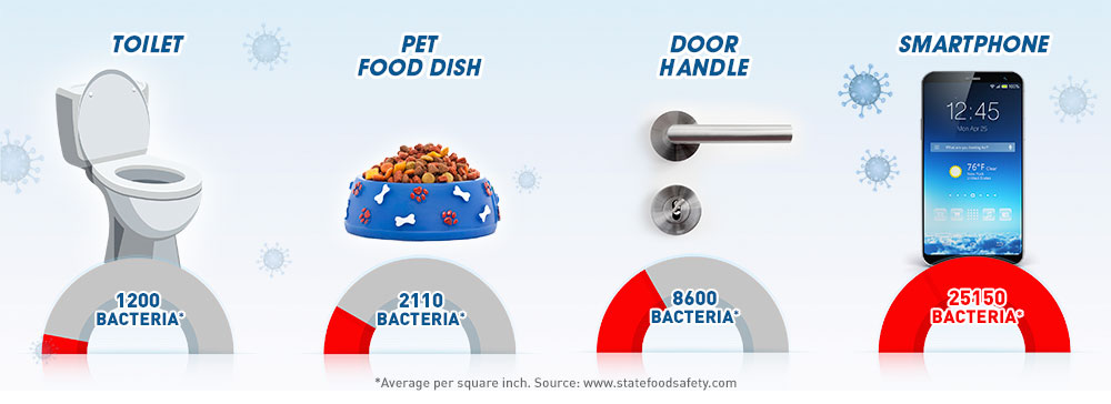 Everyday items contain more bacteria than we might realise